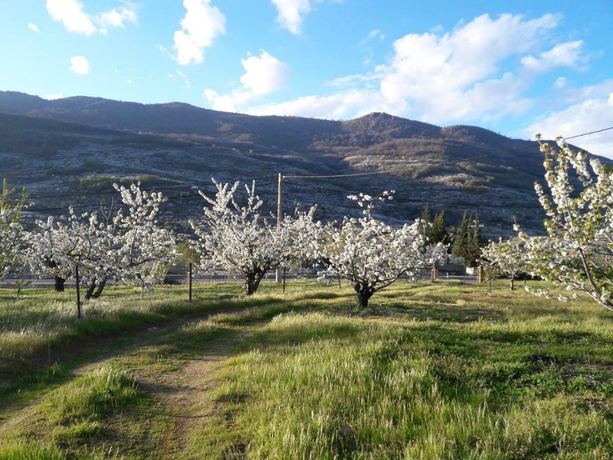 La Casita Del Jerte Lejlighed Cabezuela Del Valle Eksteriør billede